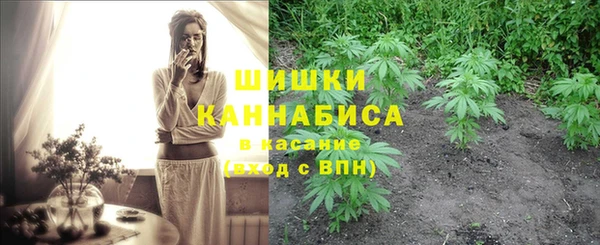 мдма Новодвинск