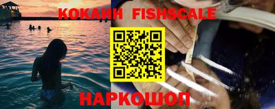 прущие крисы Кингисепп