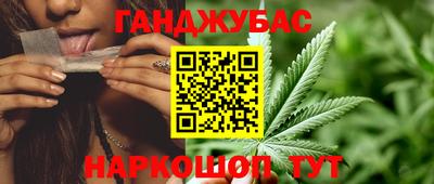 прущие крисы Кингисепп