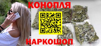 прущие крисы Кингисепп