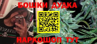 прущие крисы Кингисепп