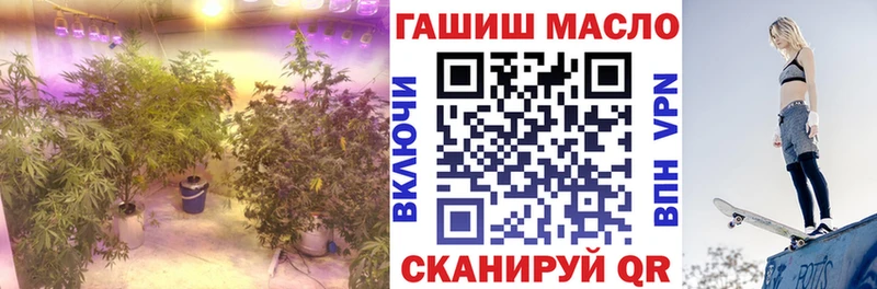 ТГК вейп  купить наркотик  Петровск 