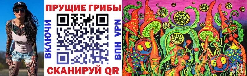 Галлюциногенные грибы MAGIC MUSHROOMS  как найти наркотики  Петровск 