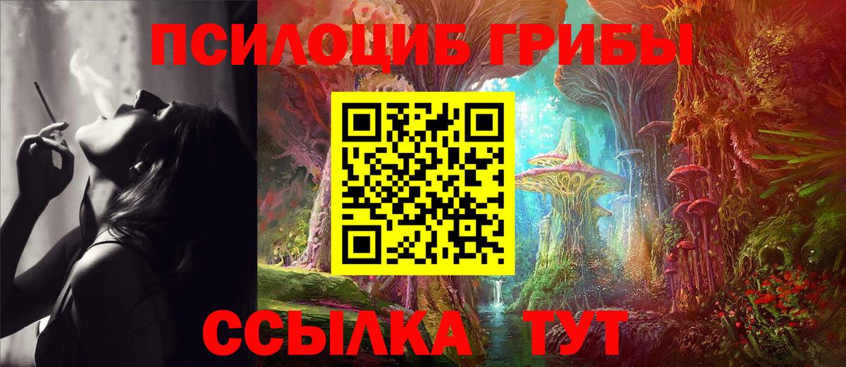Петровск  Галлюциногенные грибы Psilocybine cubensis  Вход с VPN 